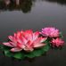 Wendy Rawson Remedial Massage Therapy - Facebook