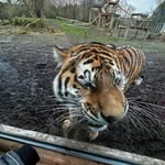 Wendy Reilly - @reillywend3863 - Instagram