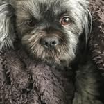 Wendy Reilly - @wendyreilly4 - Instagram