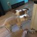 Wendy Reinig - Facebook