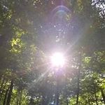 Wendy Rettig - @wendy.rettig.7 - Instagram