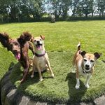 Wendy Riddle - @wendyriddle207 - Instagram
