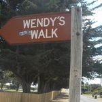 Wendy Riddle - @wendy.riddle.161 - Instagram