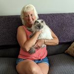 Wendy Weber Riddle - @wendyweberriddle - Instagram