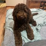Wendy Rider - @wendywillow_7 - Instagram