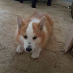 Wendy Rider - @wendyrider58 - Instagram