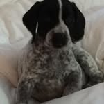 Wendy Roach - @barnlakelady - Instagram