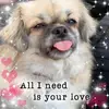 Wendy J Rowley - @wendyjrowley - TikTok