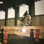Wendy Rowley - @wendy.rowley.338 - Instagram