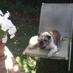 Wendy Rowley - @wendy.rowley.5 - Instagram