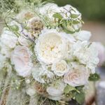 Wendy Rowley (PaperwhiteFlowers) - @paperwhiteflowers - Instagram