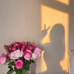 Trance - @wendyrutherford56epb - Instagram