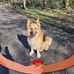 Wendy Rutherford - Facebook