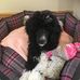 Wendy Rutherford - Facebook