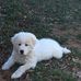 Wendy Rutherford - Facebook