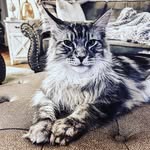 Wendy Gail Samples - @mcromeo_2 - Instagram