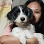 Wendy Samson - @wsenpai0607 - Instagram