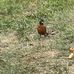 Wendy Kraft Scher - Facebook