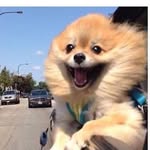 Wendy Scheer - @wennderz - Instagram