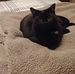 Wendy Sheffler - Facebook