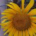 Wendy Chulin - Facebook