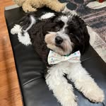 Wendy Schlueter Wirkus - @wendyschlueter - Instagram