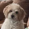 wendyriley598 - @wendy.schlueter4 - TikTok