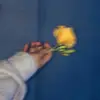 Wendy Schmit - @_wendy.schmit_ - TikTok