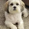 Wendy Schmitt - @wendy.schmitt4 - TikTok