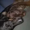 wendyschmit6 - @wendyschmit6 - TikTok