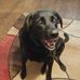 Wendy Schofield - Facebook