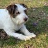 Wendy Schuler497 - @wendyschuler0602 - TikTok