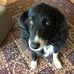 Wendy Schuler - Facebook