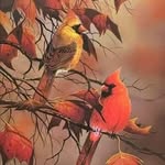 Wendi Schuster Cozzi - @wendicozzi - Instagram