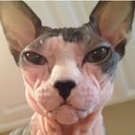 Wendy Seeley - @wendyseeley - Instagram