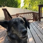 Wendy Leininger Seifert - @w_seifert - Instagram