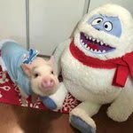Wendy Seifert - @wendy.seifert1 - Instagram