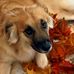 Wendy Settle Photography - Facebook