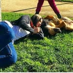 wendysussettleonleon - @wendysussettleonleon - Instagram