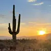 SmoothSaguaro - @wendy_sewell - TikTok