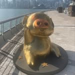 Wendy Shen - @shendywen - Instagram