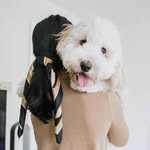 Wendy Shen - @allthingswendy - Instagram