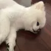 wendyshen35 - @wendy.shen3 - TikTok