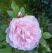 Wendy Sinclair - Facebook