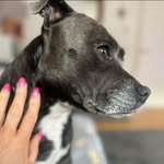 Wendy Sinclair - @womanwalkingtheway - Instagram