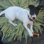 Wendy Skipper - @skipperwendy - Instagram