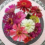 Wendy Slack - @wwendyjjo - Instagram
