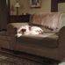 Wendy Slack - Facebook