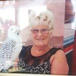 Wendy Slack - @slackwendy - Instagram