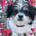 Wendy Slack - Facebook